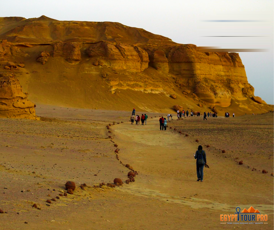Wadi Al-Hitan