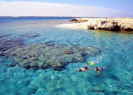 Snorkeling in the Red Sea