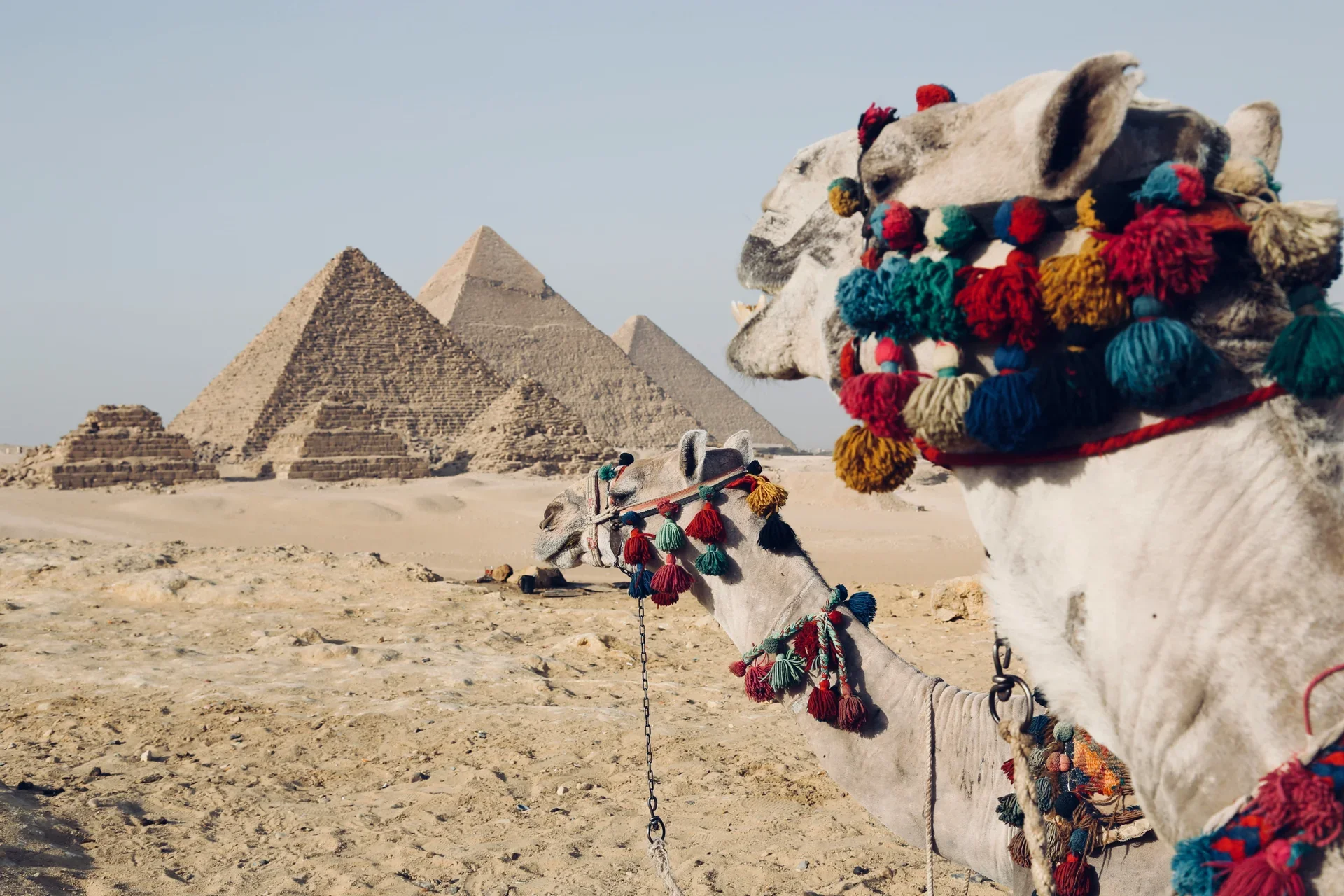 4-Day Cairo & Alexandria Tour | Pyramids, Museum