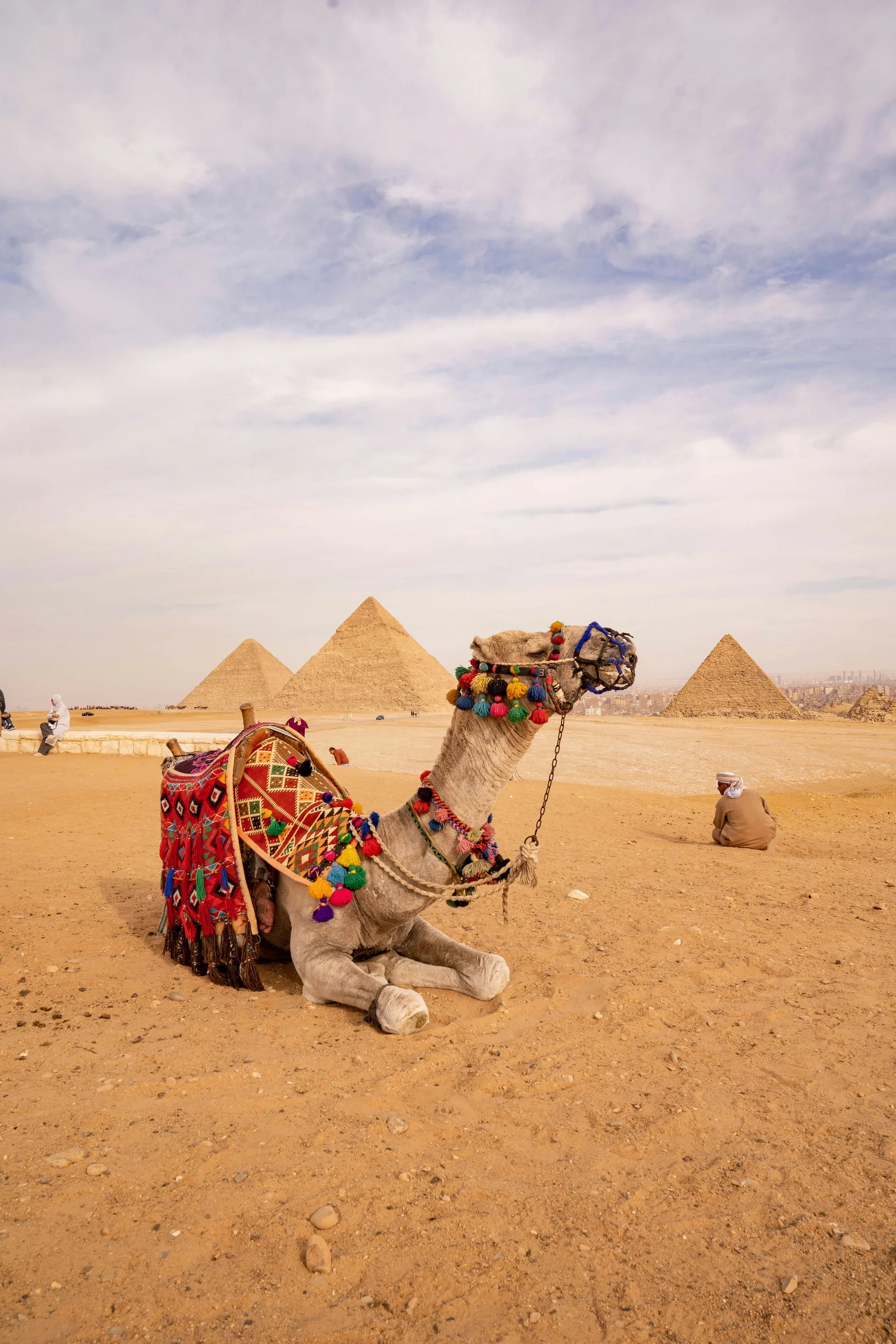 Nile Felucca Ride & Cairo Downtown Tour