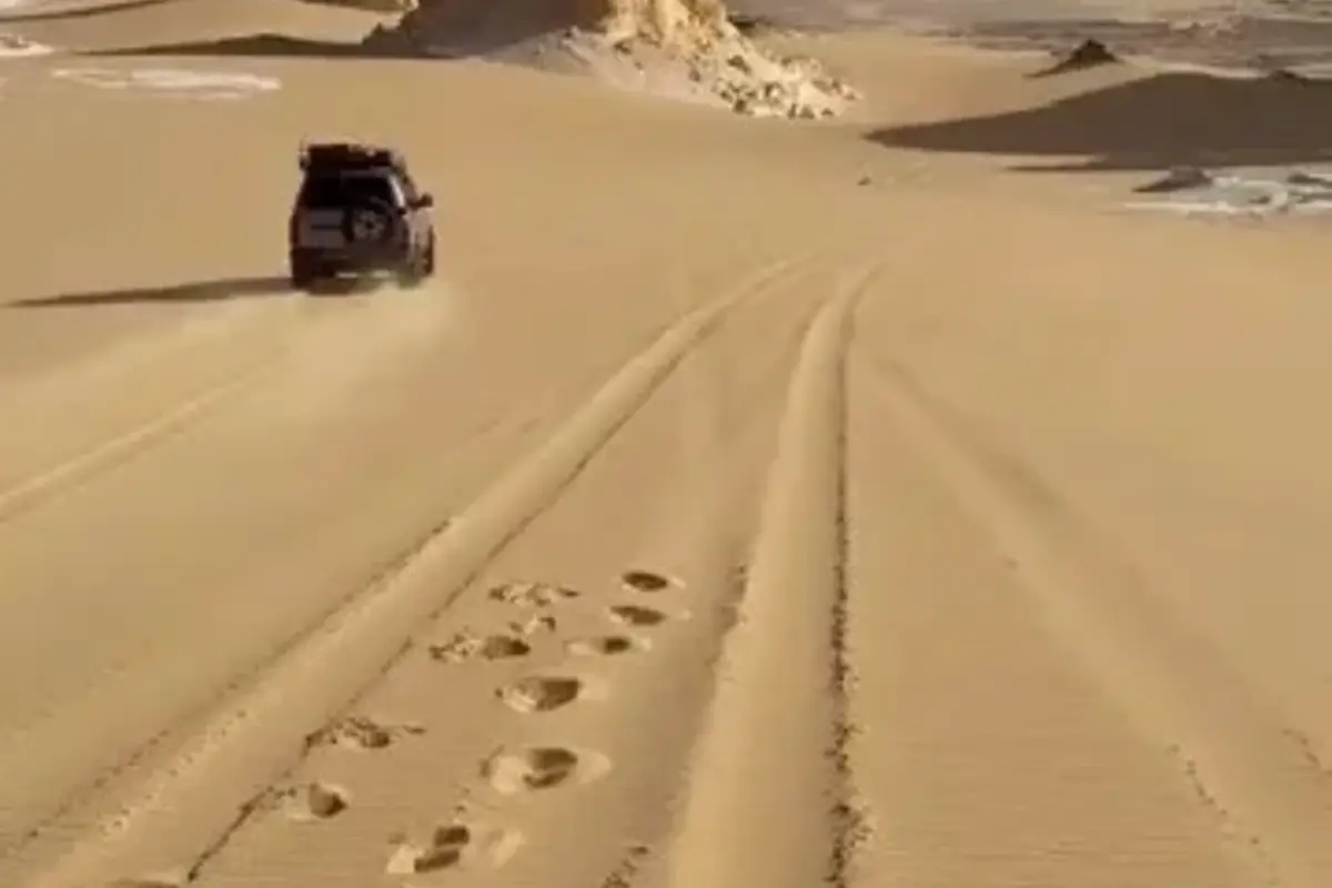 White Desert National Park