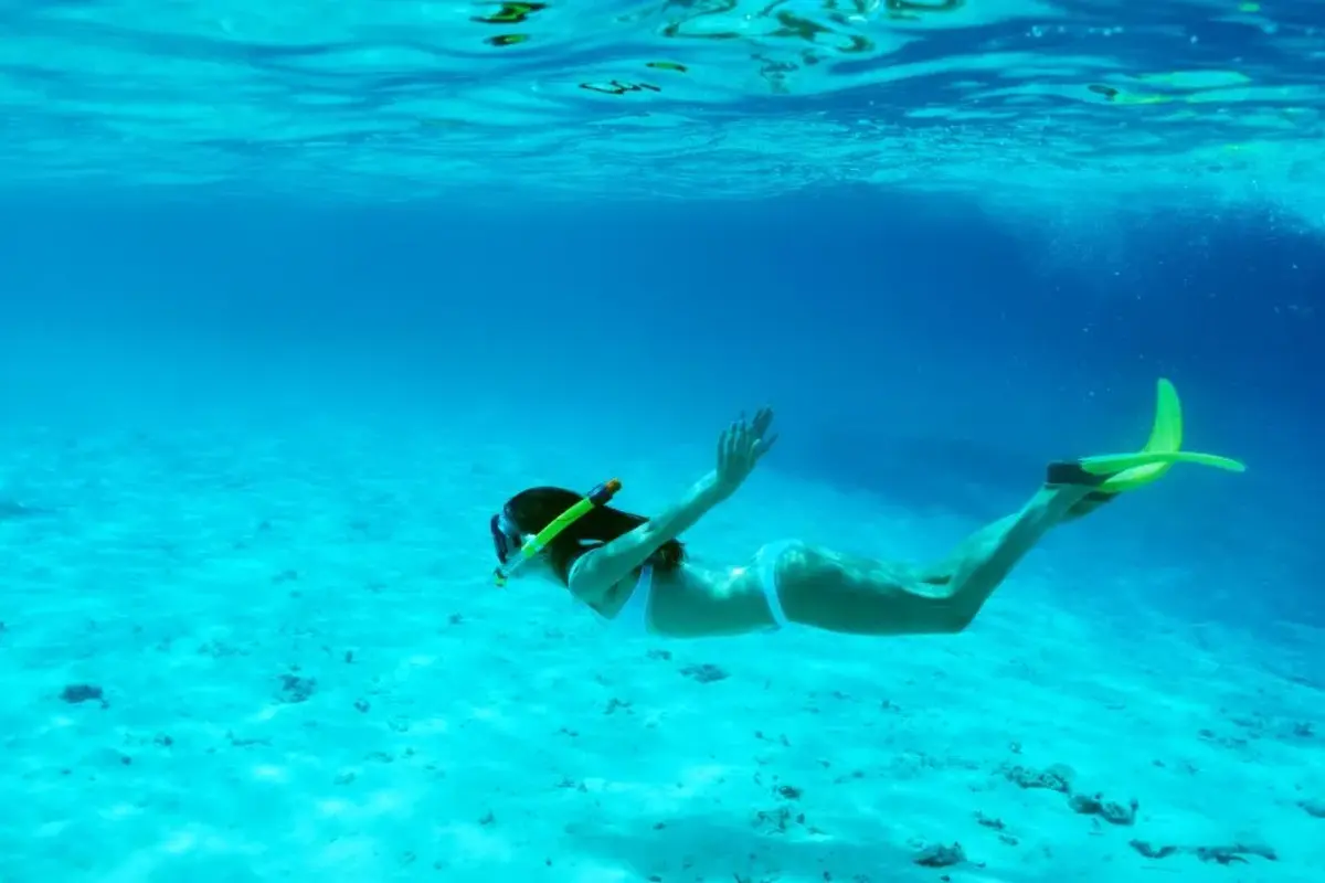 Découvrez l'Égypte : circuit culturel de 10 jours et vacances en mer Rouge