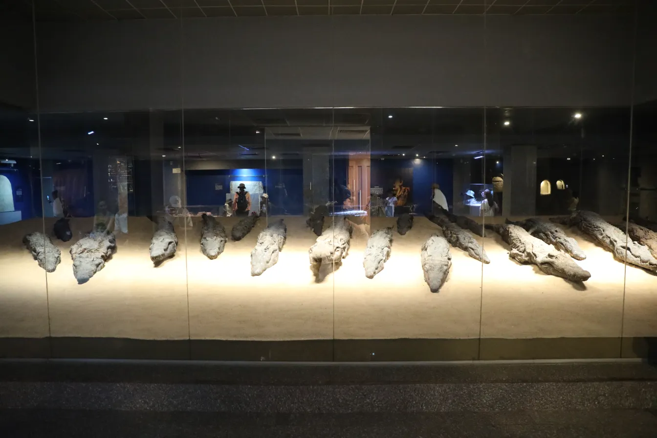 Crocodile Museum