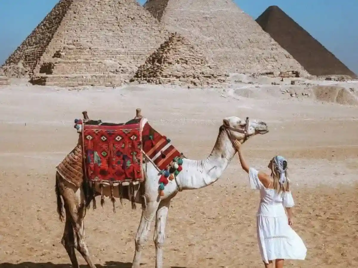 Excursion d'une journée aux pyramides de Gizeh, à Saqqara et à Memphis | Excursion privée au Caire