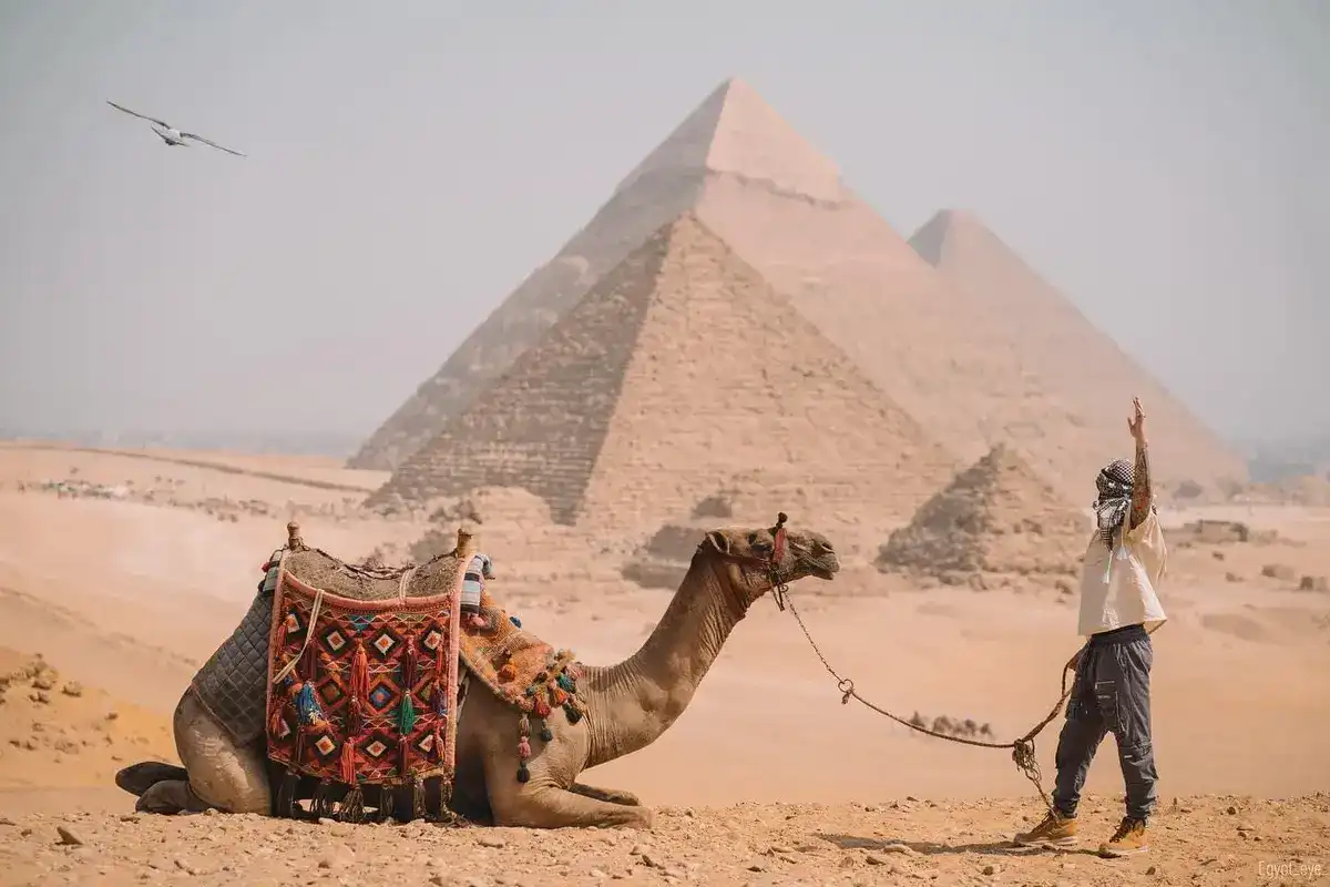 Explore Egypt 10-Day Cultural Tour & Red Sea Holiday