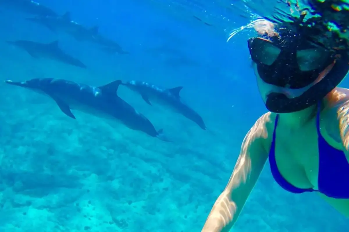 From Hurghada: Dolphin Watching Tour with Snorkeling
