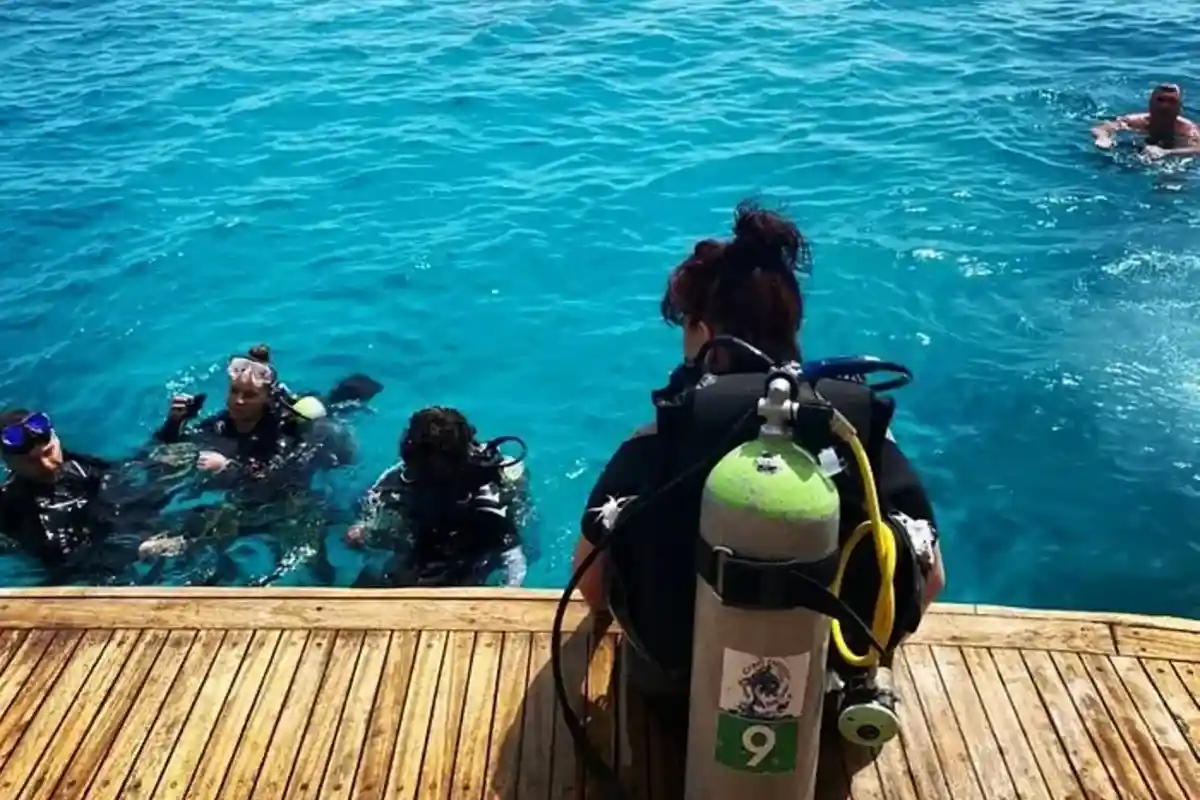 Diving & Snorkeling Tour with Lunch from Hurghada