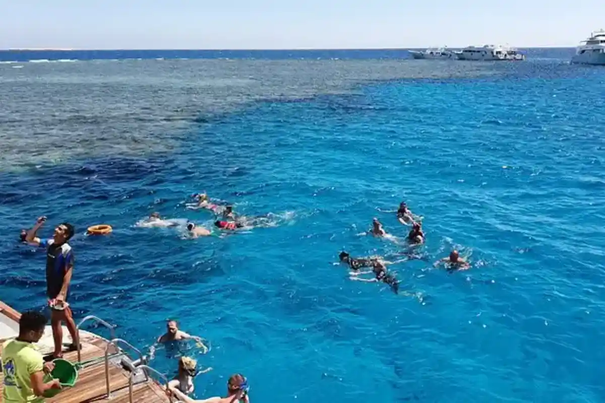 Au départ d'Hurghada : Croisière de plongée avec tuba à Paradise Island