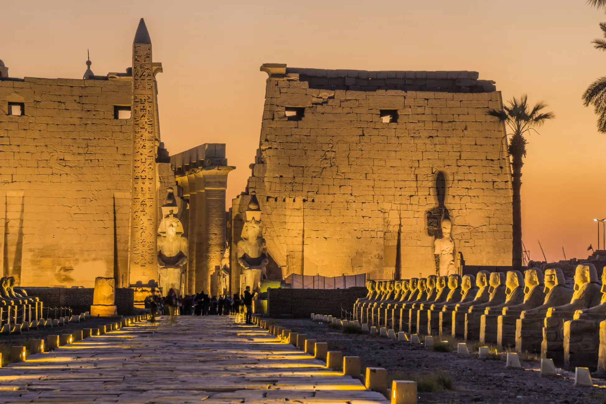 Your Dream Trip, Our Expertise