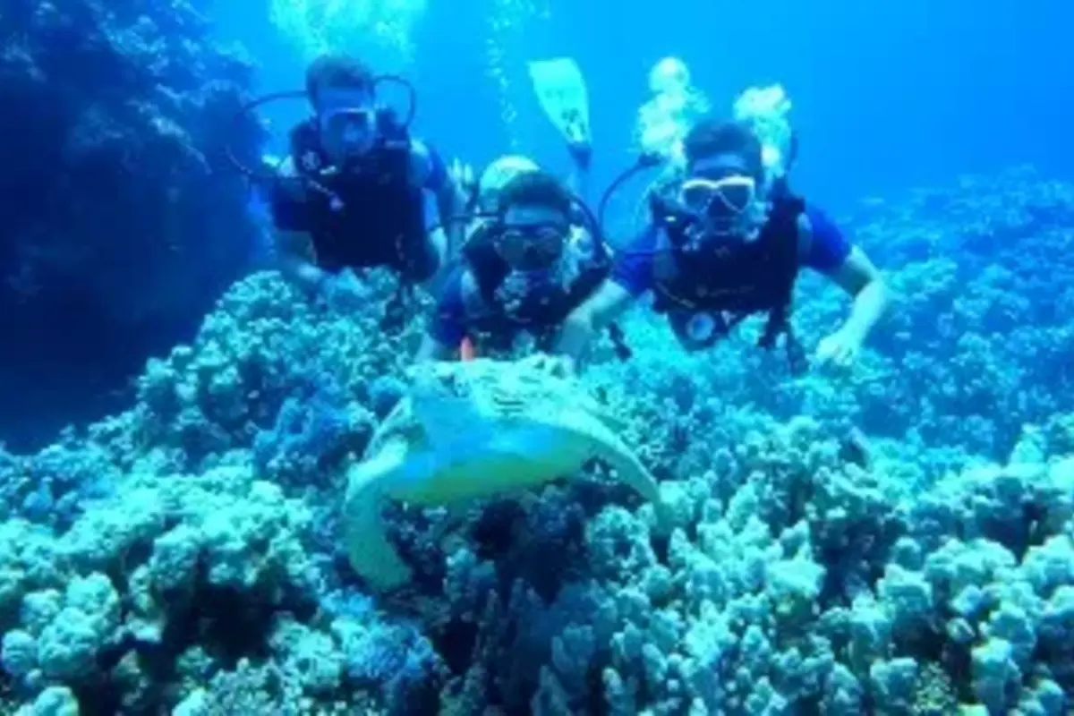 6-Day Egypt Tour – Cairo, Red Sea & Luxor