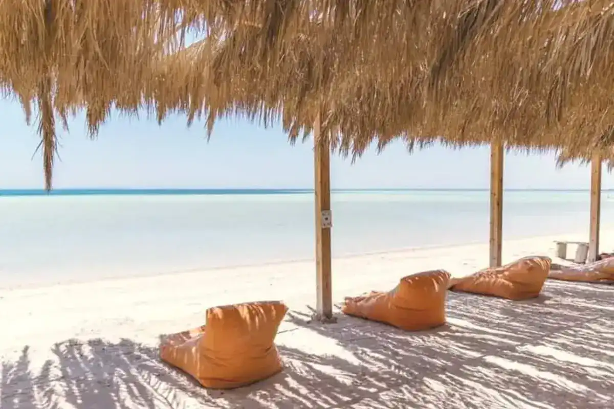 Orange Bay Island and Snorkeling Trip