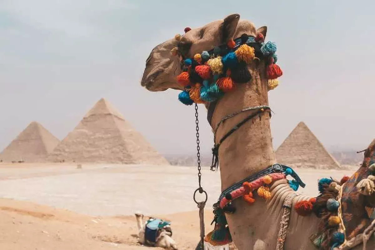 Best of Egypt 10-Day Tour: Pyramids & Nile River Cruise