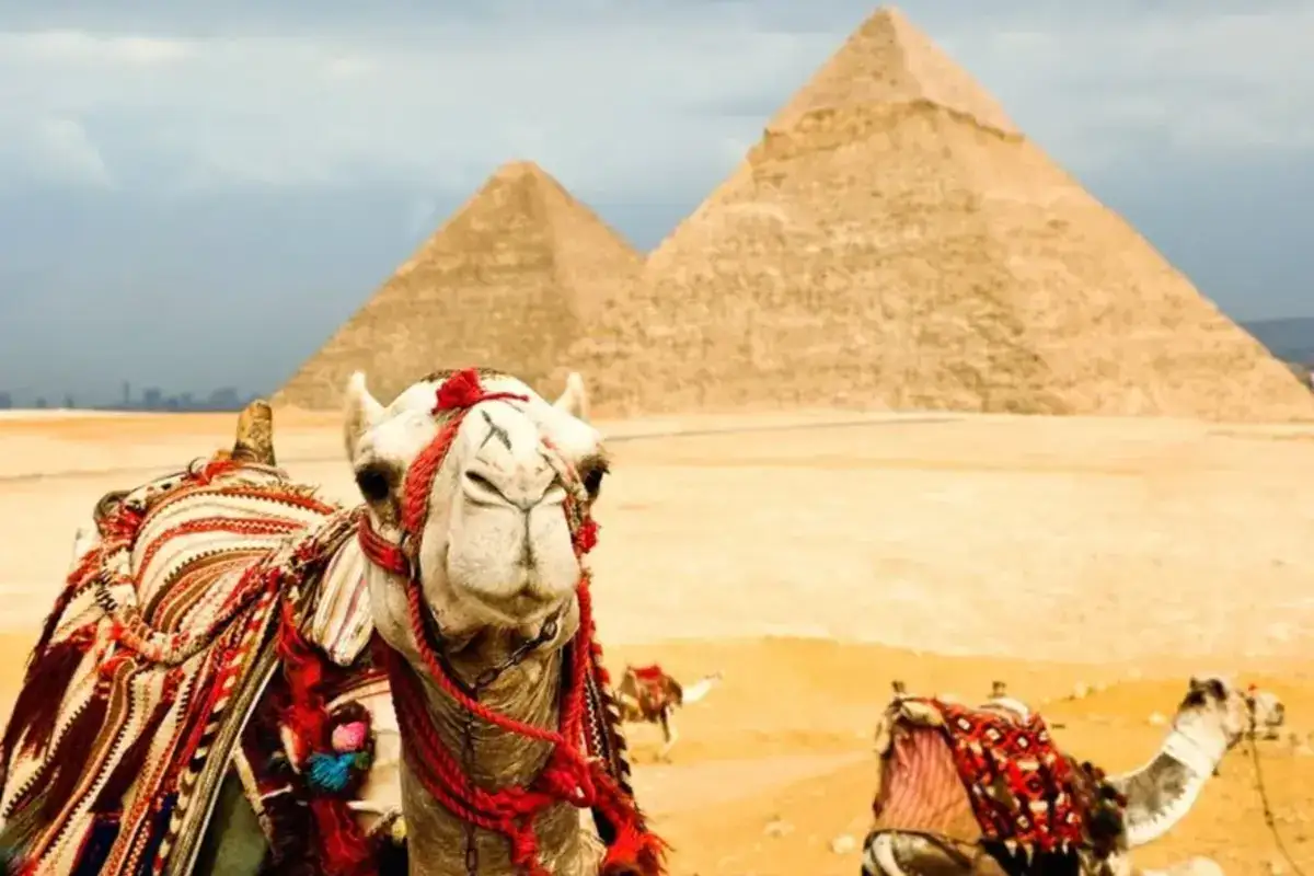 Excursion d'une demi-journée au Caire aux pyramides de Gizeh et au Sphinx