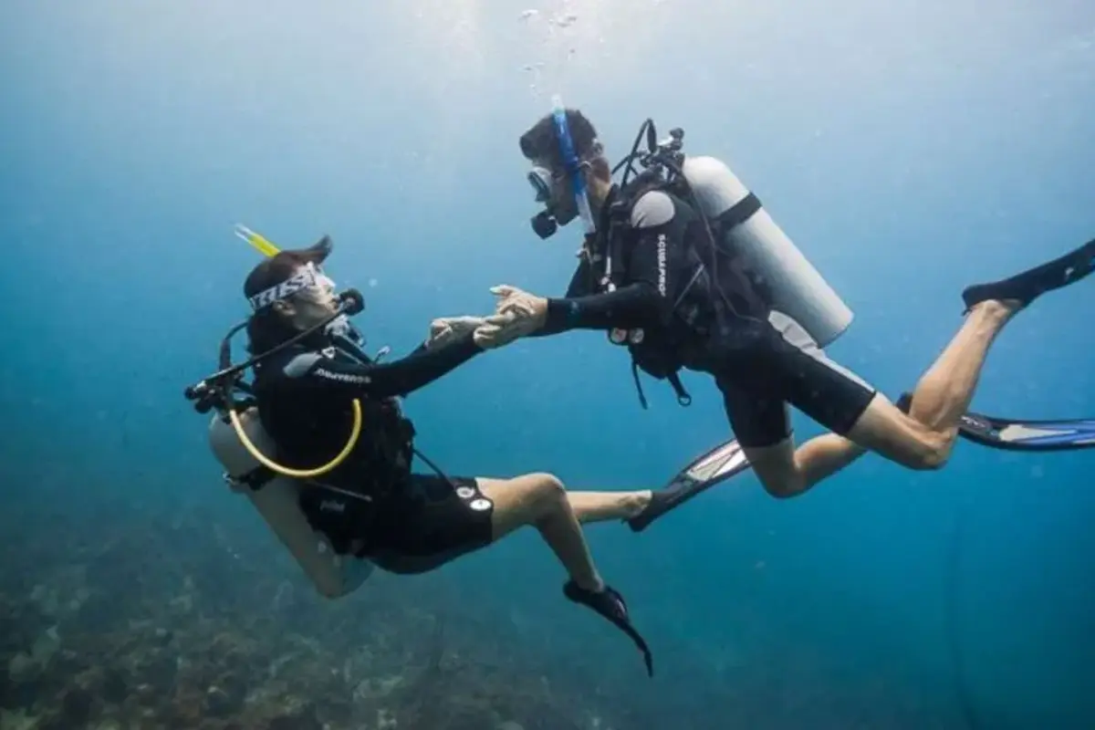 Tauch- und Schnorcheltour mit Mittagessen ab Hurghada